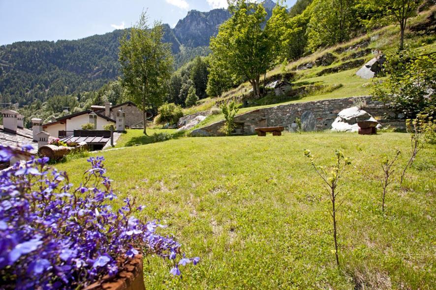 B&B A Pankeo Valtournenche Eksteriør bilde